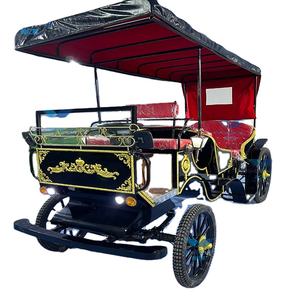 Transport spécial sans cheval de chariot de mandrin de visite électrique de 6 places d'approvisionnement d'usine d'OEM à un prix - Product Image 6