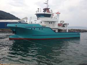 Grue de pont hydraulique marine et grue de bateau de travail, vente chaude, Puma, haute qualité, meilleur design - Product Image 3