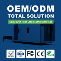 Machine de découpe laser CNC en acier haute puissance Senfeng 4000W, facile à utiliser, 6000W-12000W AI BMP pour la découpe de métaux