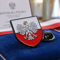 Épinglette personnalisée en métal avec votre propre design, écusson familial, broche animale, badges en alliage de zinc plaqué noir, broche logo lettre pour chapeau