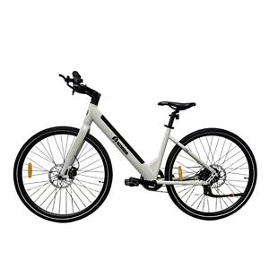 Bicicleta Eléctrica con Motor Trasero sin Escobillas, Batería de Litio de 48V 10ah, Ruedas de 26 Pulgadas, Modelo L3, Actividad de Promoción - Product Image 2
