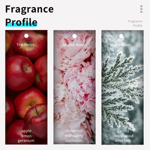 VILILY B089 <span class=keywords><strong>Perfume</strong></span> Hombre Original para Hombre Parfum Homme 38ml Spicy Woody Perfumes De Hombre - Product Image 2