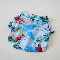 Haute qualité luxe vêtements pour animaux de compagnie été doux à capuche chien t-shirt chat pull Logo personnalisé tissu