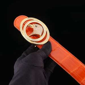 Cinturón de Cuero de Cocodrilo 100% Auténtico para Hombre, Cinturón de Alta Gama con Hebilla Dorada, Cinturón de Cuero de Lujo para Negocios y Uso Casual - Product Image 6