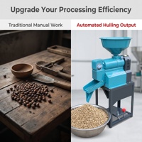 Machine à décortiquer les grains de café à haut rendement, en acier inoxydable, capacité 100 kg/h, efficace pour éliminer la peau de café séché