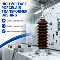 Bouchon de transformateur haute tension en porcelaine pour transformateur de puissance, isolateur électrique extérieur avec connexion à bride