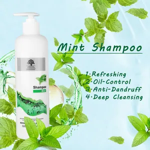 India Herbal Scalp Hair Care OEM Mint Shampoo for Oily Hair