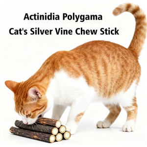 Jouet pour chat en vigne d'argent (Actinidia Polygama) à mâcher, fourni directement par l'usine – Les chats préfèrent les bâtonnets de vigne d'argent - Product Image 3