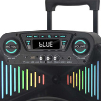 Enceinte Bluetooth portable de 12 pouces haute puissance avec microphone sans fil pour fêtes en extérieur et karaoké