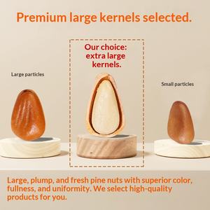 Nouveaux noix <span class=keywords><strong>de</strong></span> pin du Fujian séchées, 500g en conserve, gros grains, pelées à la main, collations à base <span class=keywords><strong>d</strong></span>'huile végétale comestible, produits frits, <span class=keywords><strong>achat</strong></span> - Product Image 3