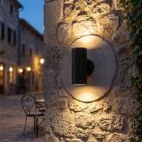 Applique murale extérieure LED de Noël RGB/RBGW étanche haute puissance avec télécommande WiFi