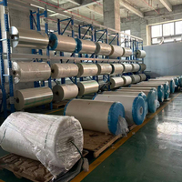 Película PET de Alta Calidad para DTF, Tamaño A4, Tamaño A3, Rollo de 100m para Impresora DTF Epson L1800 y Polvo Termofusible, Transferencia de Calor CE