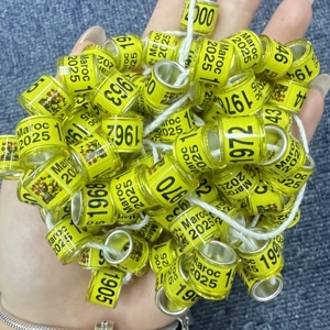 Vàng Nhôm Chim Bồ Câu Nhẫn Với Tùy Chỉnh Đầy Màu Sắc Tên Điện Thoại Nối Tiếp Số Vòng Đua - Product Image 1