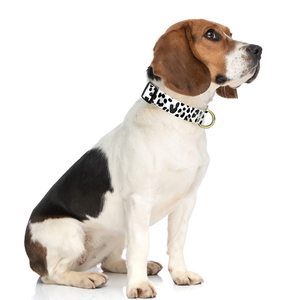 Benutzer definierte Gummi Label Logo Luxus Haustier Zubehör Robustes Polyester Nylon Gurtband Druck Hunde halsband - Product Image 2