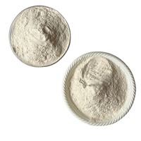 Poudre de bêta-glucane de levure soluble dans l'eau, composant de soutien immunitaire pour aliments fonctionnels, apport nutritionnel liquide oral