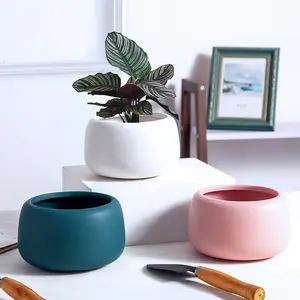 Macetas de cerámica nórdicas de colores, cuadradas y redondas, flores carnosas para interior y exterior, plantas en maceta de piña verde