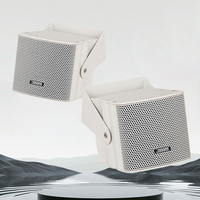 Haut-parleurs muraux 60W de haute qualité Mini haut-parleur mural coaxial