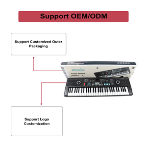 <span class=keywords><strong>Piano</strong></span> numérique portable BD MUSIC BD-600 à 61 touches, instruments de musique, clavier électronique, orgue électrique - Product Image 4