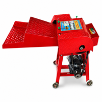 Henglu Nouvelle Hacheuse de Fourrage Efficace, Mini Broyeur à Diesel en Métal pour Ensilage, Herbe et Tiges de Maïs, Capacité 1 Tonne/heure, Facile à Utiliser pour l'Alimentation Animale