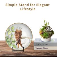 Lot de 12 supports de présentation pour assiettes de 6 pouces, supports en métal pour assiettes, peuvent également servir de supports pour photos et livres