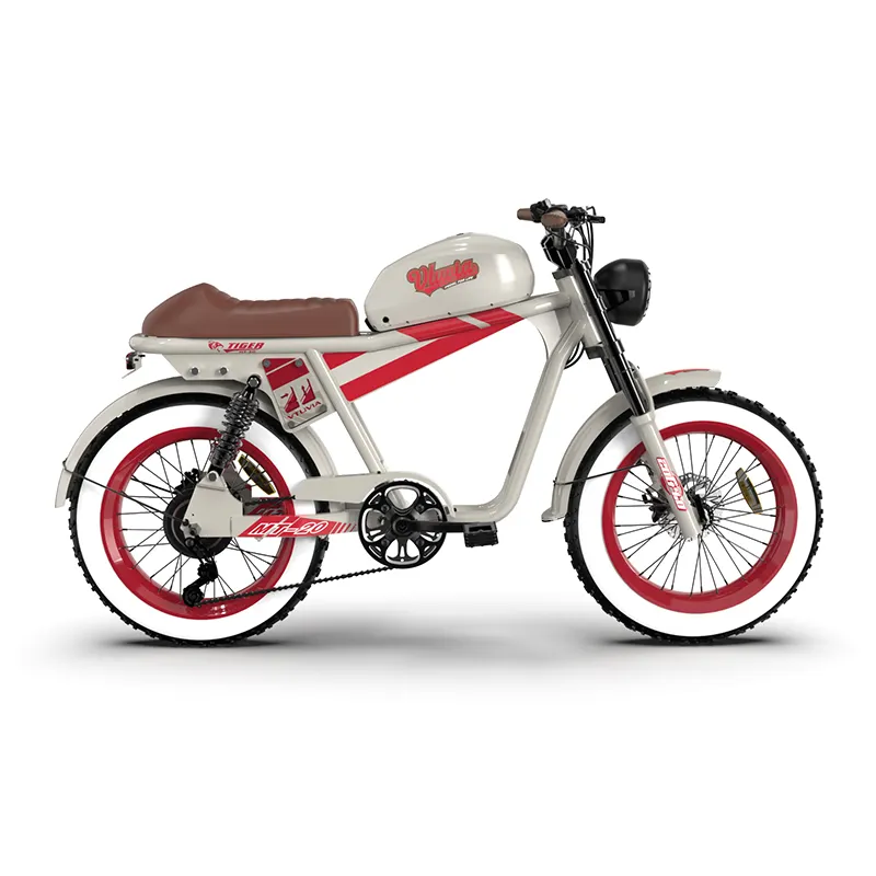 미국 창고 500w 750w 48v 모터 팻 타이어 빠른 전체 서스펜션 전기 산 먼지 자전거 도시 자전거 전기 오토바이