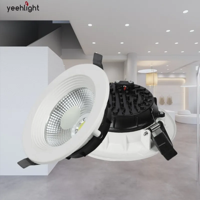 Ronde 4 6 Inch Verzonken 6W 12W 20W 30W Uitgesneden Grootte 160Mm Led Cob Downlight Voor Hotelproject