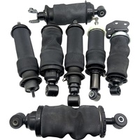 Amortisseur arrière de suspension d'essieu de camion Rycom 01162016 5010383684 5010488467 V1175 pour camion Renault Mascott