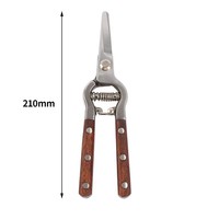 Vintage snoeischaar met houten handvat, scherp koolstofstaal, voor tuin, fruit & takken