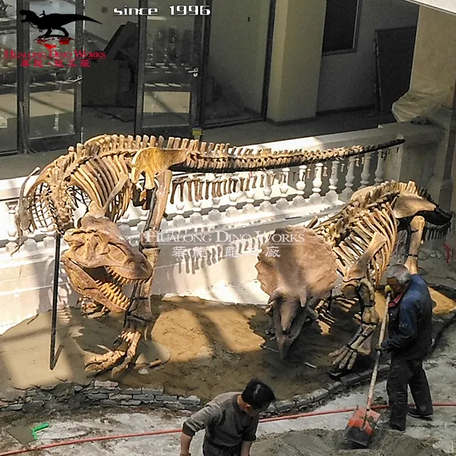 掘削恐竜スケルトンフェスティバル公園設備ステゴサウルス