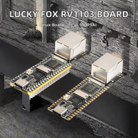 Carte de développement micro Linux Lucky Fox RV1103 avec port réseau, puissance de calcul IA de 0,5 TOPS, convertisseur DC/DC (25+) et communication I2C