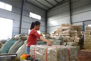 Wholesale AAAAAA <strong>Sphagnum</strong> <strong>Moss</strong> Long Fiber Gedroogde <strong>Sphagnum</strong> <strong>Moss</strong> Amino Acid Fertilizer 10KG/Bag <strong>Sphagnum</strong> <strong>Moss</strong> <strong>for</strong> <strong>Sale</strong> - Product Image 4