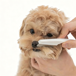Peigne de toilettage <span class=keywords><strong>pour</strong></span> animaux de compagnie en acier à dents courtes outil de nettoyage du visage du chien avec caractéristiques d'épilation <span class=keywords><strong>produit</strong></span> stocké - Product Image 1