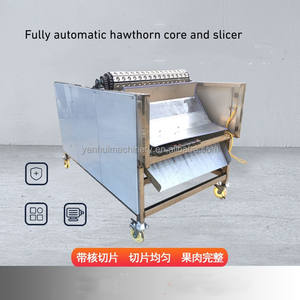 Shanlihong เครื่องหั่นฮอว์ธอร์นอัตโนมัติเต็มรูปแบบพร้อมการกำจัดแกนส่วนประกอบมอเตอร์สภาพใหม่ - Product Image 6