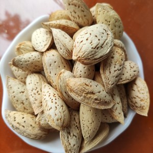 Almendro crudo con Concha, sin agrietar - Product Image 2