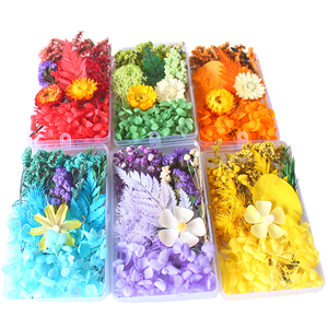 En vrac <span class=keywords><strong>pas</strong></span> <span class=keywords><strong>cher</strong></span> feuille eucalyptus rose <span class=keywords><strong>fleurs</strong></span> séchées bricolage bougie faisant boîte multi-forme jour de la terre de pâques - Product Image 1