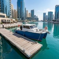 Bateau de pêche à double coque en aluminium soudé de 9,93 m, homologué CE, 12 places, deux moteurs hors-bord de 150 CV, sport, divertissement, haute mer