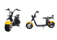 Offre spéciale : Scooters électriques Citycoco EEC pour adultes