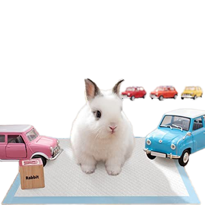 Petdom 60*60 Vente en gros de tapis absorbants pour animaux de compagnie avec protection anti-fuite, jetables, pour l'apprentissage de la propreté des chiens et chiots, Empapadores Perro - Product Image 6