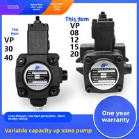 Pompa Oli Vane Variabel Hidraulik VP-20-FA3/40 08/12 Model Tankmotor Unit Perakitan Cina Daratan