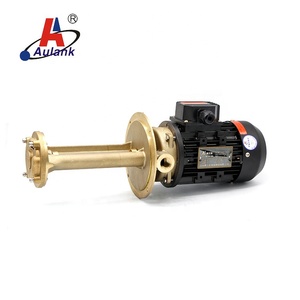ปั๊มน้ำอุปกรณ์ต่อพ่วงคานแนวตั้งน้ำมันน้ำร้อนสูง - Product Image 3