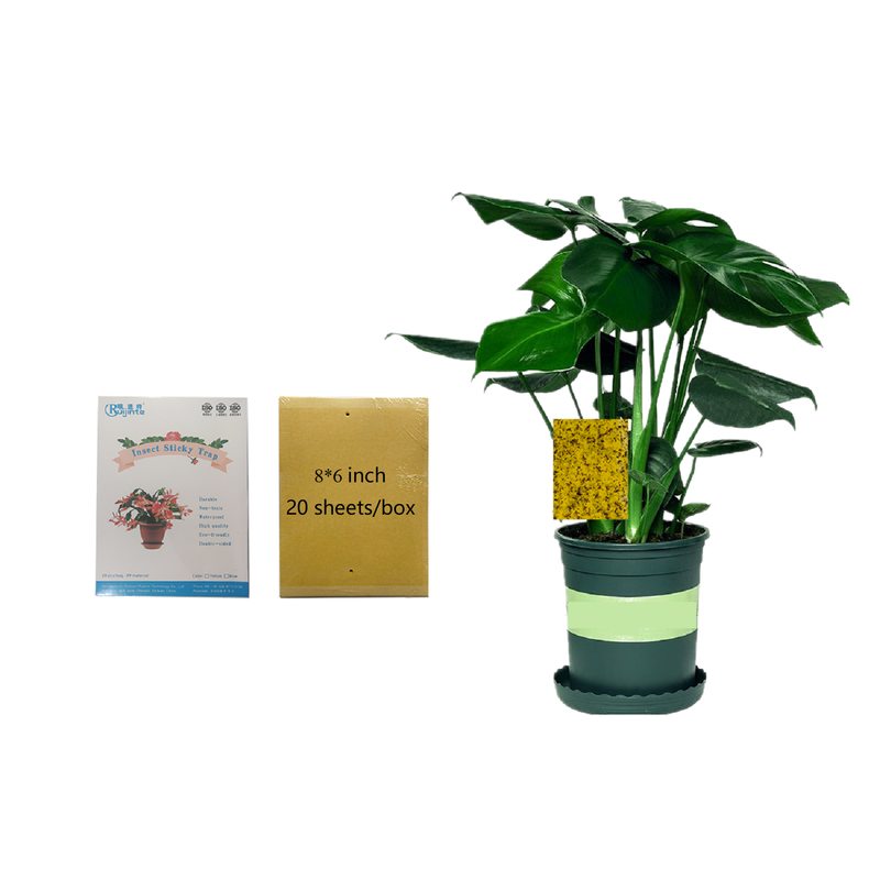 20 15 cm Insect Glue Trap