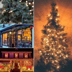 Ấm Mini Giáng Sinh Chuỗi Lights Cho Trong Nhà Ngoài Trời Patio Vòng Hoa Vườn Wedding Party Lễ Tạ Ơn Kỳ Nghỉ Trang Trí - Product Image 6