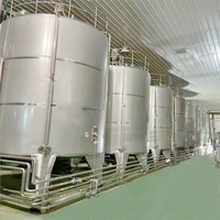 Ligne complètement automatique de production de vin de papaye machine de fermentation de traitement de vin de fruit