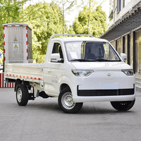RUICHI C3 MINI EV CARGO VAN TRUCK 3.3M BOX 327KM Seres Ruiqi C3 Smart Mini Camion Électrique 327km d'Autonomie