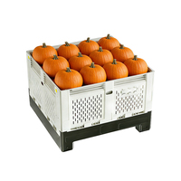 Palette en plastique HDPE robuste à 4 voies Cnpallet pour l'agriculture, l'horticulture, l'industrie, le transport aérien, les fruits et légumes
