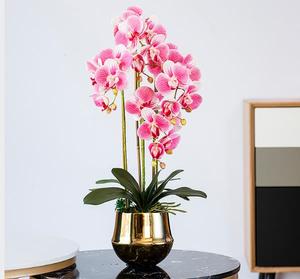 Flor Artificial de alto grado, al por mayor, en maceta decorativa, flor en maceta de <span class=keywords><strong>Dendrobium</strong></span> con toque Natural - Product Image 4