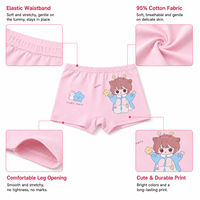 Celana Dalam Anak Perempuan Katun Berkualitas Tinggi Grosir, Boxer Nakal, Celana Dalam Anak, Pakaian Dalam Anak untuk Usia 0-8 Tahun