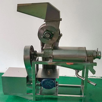 Extracteur de jus industriel à froid 0,5T pour fruits durs, agrumes, pommes, citrons et gingembre