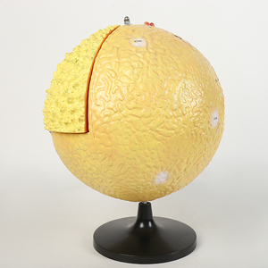 Ners vĩnh viễn đánh dấu nhựa 1/4 phần có thể tháo rời mặt trời Mô hình cấu trúc bên trong - Product Image 1