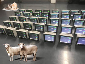 Versie Van Huisdier Multi-Parameter Monitor Draagbare Veterinaire Multi-Parameter Detector Monitor Ecg - Product Image 6